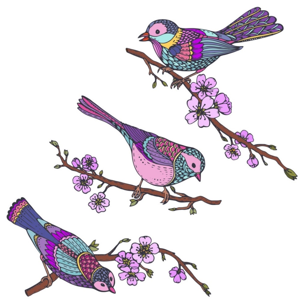 Meet your Posher, Bea